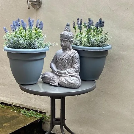 Apartment Wonderful Pet Friendly One Bed In Great For Couples Or Friends With A Pull Out Comfortable Sofa Bed Right On The River Ouze With A Private Courtyard *